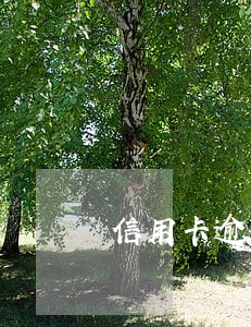 信用卡逾期会找到家人吗