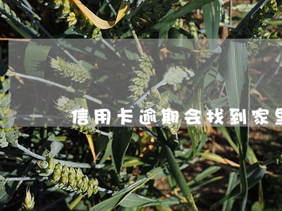 信用卡逾期会找到家里么