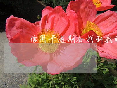 信用卡逾期会找到我的新公司吗 信用卡逾期会找到我的新公司吗