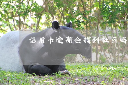信用卡逾期会找到社区吗 信用卡逾期会找到社区吗