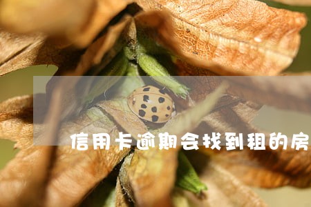 信用卡逾期会找到租的房子吗 信用卡逾期会找到租的房子吗