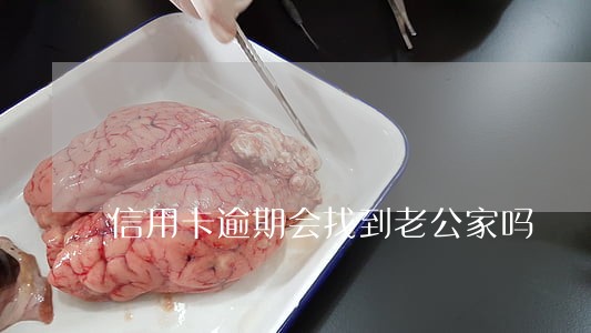 信用卡逾期会找到老公家吗 信用卡逾期会找到老公家吗