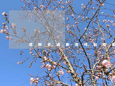 信用卡逾期会找到老家地址吗