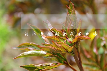 信用卡逾期会找家来吗 信用卡逾期会找家来吗