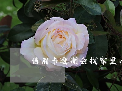 信用卡逾期会找家里人吗