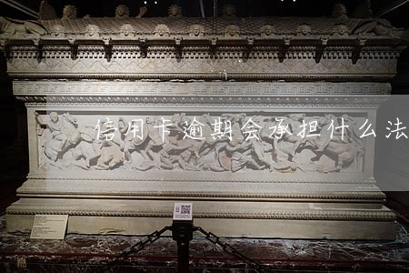 信用卡逾期会承担什么法律责任 信用卡逾期会承担什么法律责任