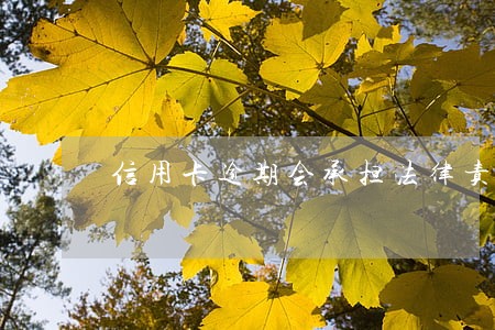信用卡逾期会承担法律责任吗 信用卡逾期会承担法律责任吗