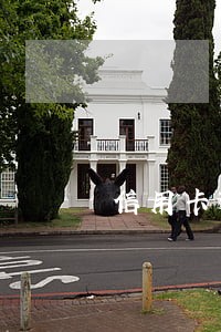 信用卡逾期会把利息给你吗 信用卡逾期会把利息给你吗