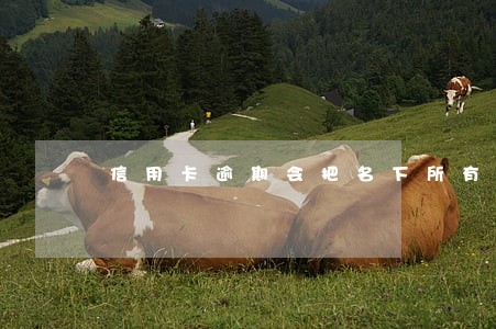 信用卡逾期会把名下所有卡冻结吗 信用卡逾期会把名下所有卡冻结吗