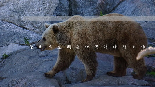 信用卡逾期会把照片传网上吗