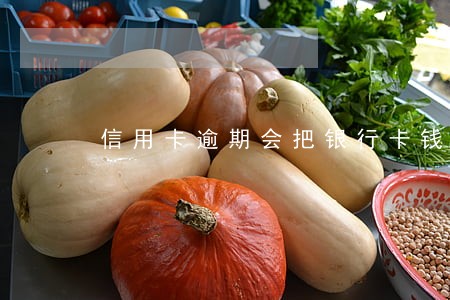 信用卡逾期会把银行卡钱扣了吗 信用卡逾期会把银行卡钱扣了吗