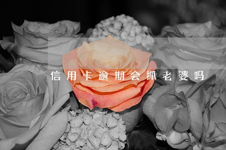 信用卡逾期会抓老婆吗