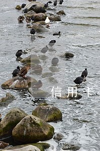 信用卡逾期会报送经侦吗 信用卡逾期会报送经侦吗