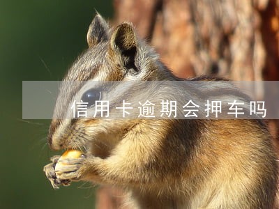 信用卡逾期会押车吗 信用卡逾期会押车吗