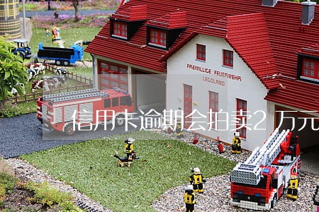 信用卡逾期会拍卖2万元的车吗 信用卡逾期会拍卖2万元的车吗