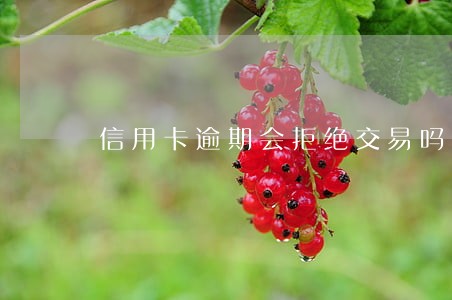 信用卡逾期会拒绝交易吗 信用卡逾期会拒绝交易吗