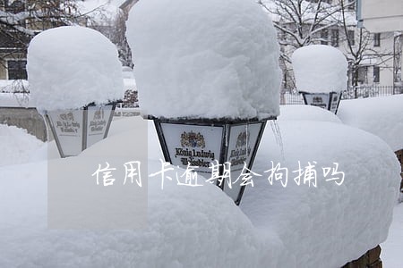 信用卡逾期会拘捕吗 信用卡逾期会拘捕吗