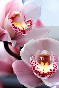 信用卡逾期会拘留人吗 信用卡逾期会拘留人吗