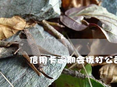 信用卡逾期会拨打公司 信用卡逾期会拨打公司