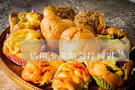 信用卡逾期会挂网逃