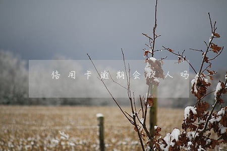 信用卡逾期会捉人吗 信用卡逾期会捉人吗