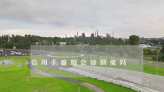 信用卡逾期会掉额度吗