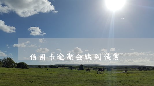 信用卡逾期会收到传票 信用卡逾期会收到传票