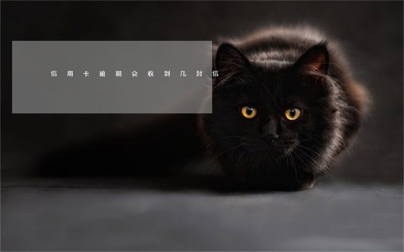 信用卡逾期会收到几封信 信用卡逾期会收到几封信