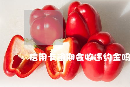 信用卡逾期会收违约金吗 信用卡逾期会收违约金吗