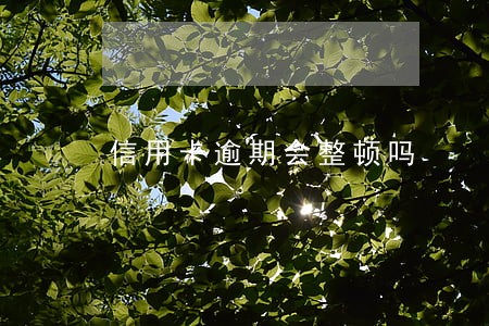 信用卡逾期会整顿吗