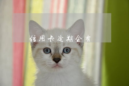 信用卡逾期会有 信用卡逾期会有