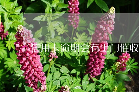 信用卡逾期会有上门催收的么