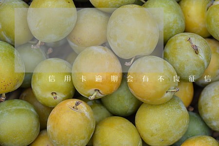 信用卡逾期会有不良征信吗