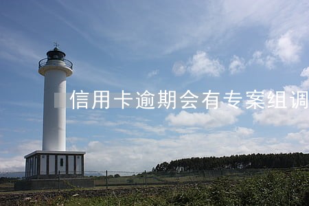 信用卡逾期会有专案组调查吗
