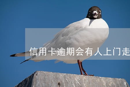 信用卡逾期会有人上门走访吗 信用卡逾期会有人上门走访吗
