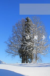 信用卡逾期会有什么惩罚 信用卡逾期会有什么惩罚