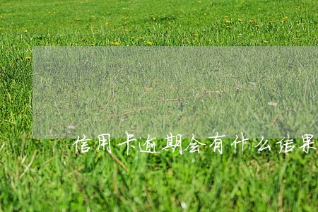 信用卡逾期会有什么结果 信用卡逾期会有什么结果