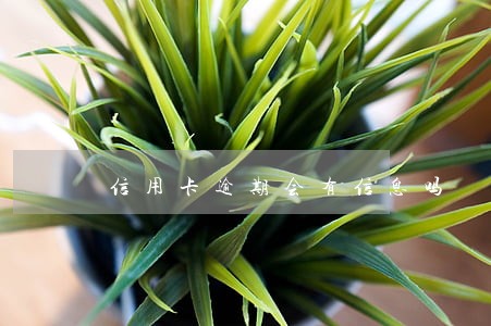 信用卡逾期会有信息吗 信用卡逾期会有信息吗