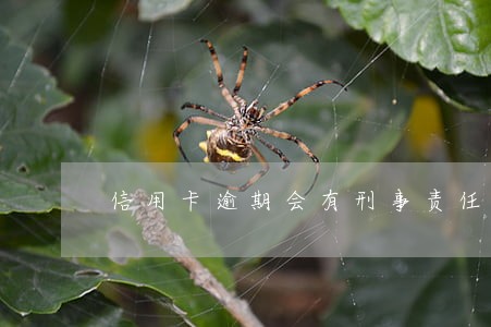 信用卡逾期会有刑事责任吗 信用卡逾期会有刑事责任吗