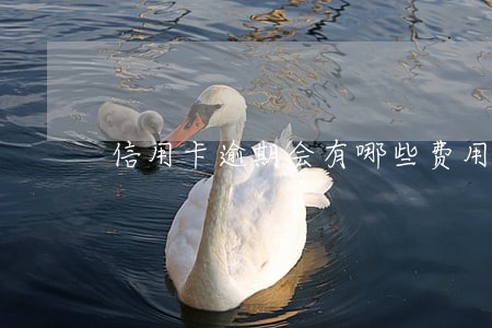 信用卡逾期会有哪些费用