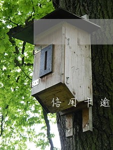 信用卡逾期会有外访人员上门嘛 信用卡逾期会有外访人员上门嘛