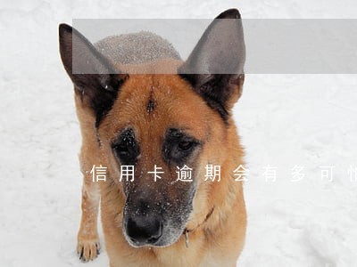信用卡逾期会有多可怕 信用卡逾期会有多可怕