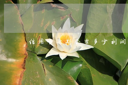 信用卡逾期会有多少利润 信用卡逾期会有多少利润
