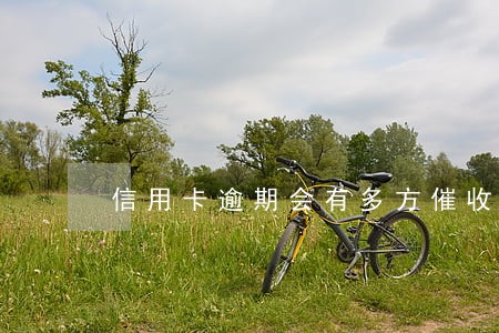 信用卡逾期会有多方催收介入 信用卡逾期会有多方催收介入