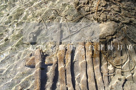信用卡逾期会有律师打电话吗 信用卡逾期会有律师打电话吗