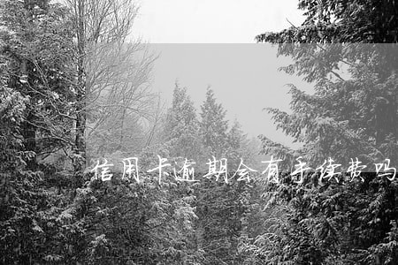 信用卡逾期会有手续费吗 信用卡逾期会有手续费吗