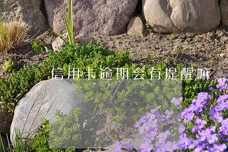 信用卡逾期会有提醒嘛