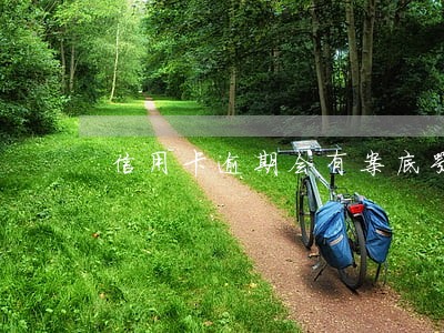 信用卡逾期会有案底嘛 信用卡逾期会有案底嘛