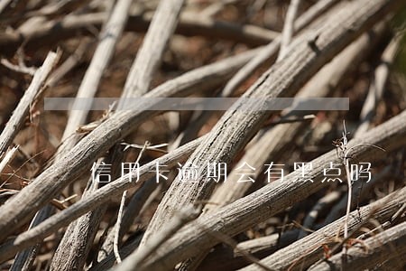 信用卡逾期会有黑点吗