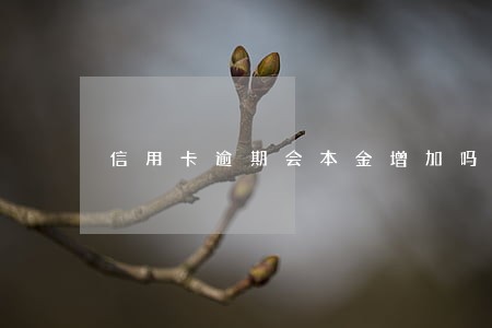信用卡逾期会本金增加吗